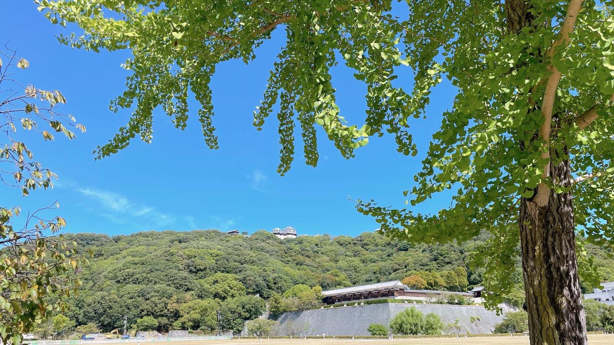 Ref Matsuyama City Station By Vessel Hotels Εξωτερικό φωτογραφία